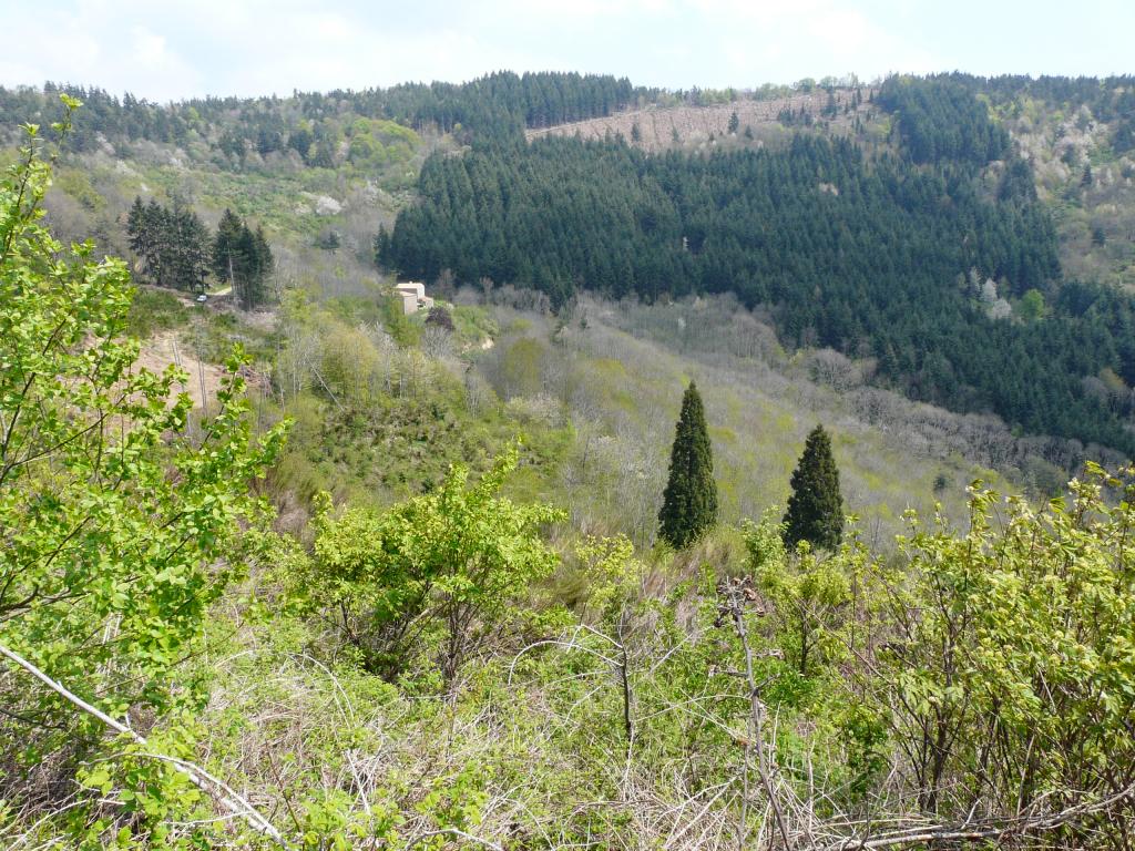 Ardeche, 02-05-09, 12-32.jpg